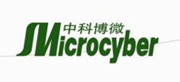 Microcyber Inc.