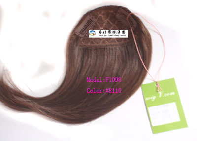 Bangs/ Fringe hair /Pony tail /Hair extension bulk(factory)