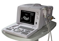 Ultrasound Scanner PRO BC-6600