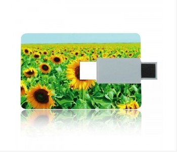 usb credit card,usb promotional business cards