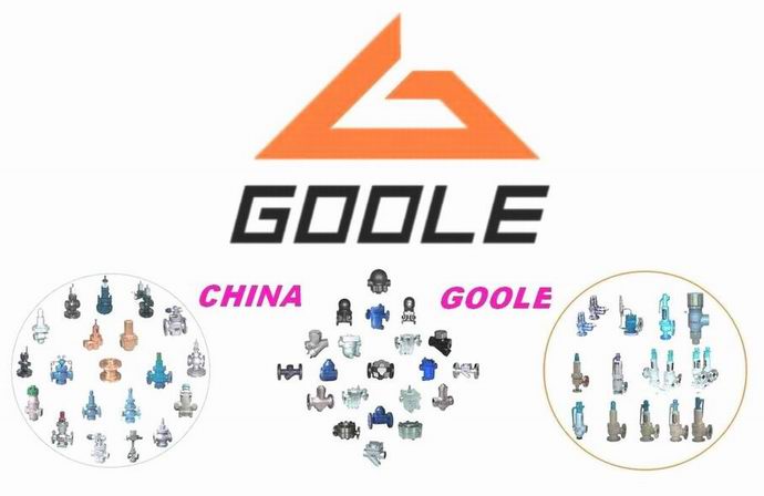 Goole Valve Co., Ltd
