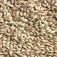 Refined and Crude Sunflower Oil, Feed and Malting Barley, Yellow Corn  Grade 1, 2 and 3 and Feed Wheat.