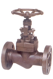 Forged  steel & casting steel globe valve