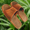 palmy slipper