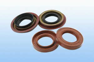 auto and motor oil seal