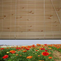 3.4 bamboo look PVC roll-up blind