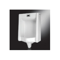 automatic urinal