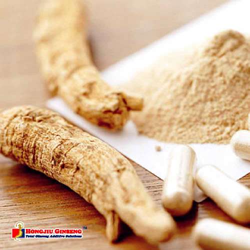 ginseng extract, botanical extract, herb extract