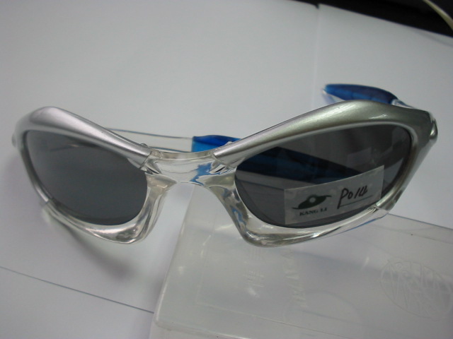 sunglasses/ optical frame/ reading 