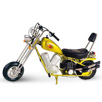 Popular gas scooter JD-205 