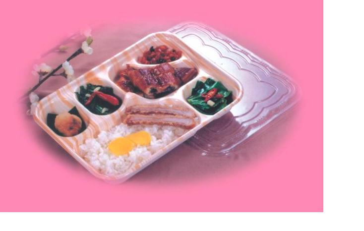  Laminated Pulp Molded lunch box