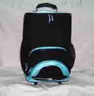Rolling cooler bag with radio
