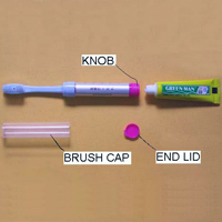 2-in-1 Refillable Toothbrush