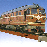 Model Special Electronic Rail Scale