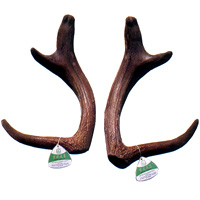 Sawn-Off Sika Antler Three Branches