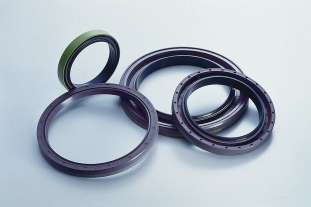 Oil Seal for Volvo