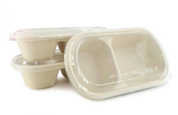Compostable Bagasse Meal Container!!salesprice