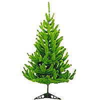 Christmas Decoration Co.,Ltd.