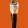 Professional Dynamic Microphone