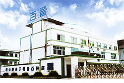Braintek Electronics Co., Ltd.