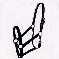 Sun Talent Industrial Co., Ltd.