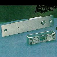 Vanguard Security Engineering Corp.