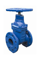 resilient seated gate valves BS5163
