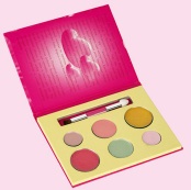 Make Up Multi-colored Palette