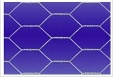 hexagonal wire mesh