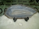 agate fish