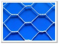 hexagonal wire mesh