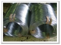 galvanized iron wire,galvanized wire