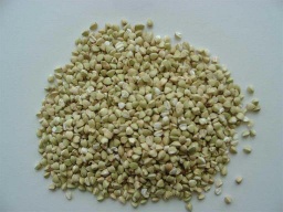 buckwheat