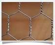 hexagonal wire mesh