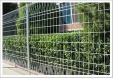 Wire Mesh Fences
