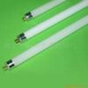 T5 fluorescent lamps 