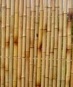 bamboo fence  screen,trellis,poles - BF