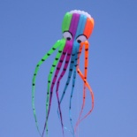 8M octopus kite(no frame soft)&nbsp;-&nbsp;RH028