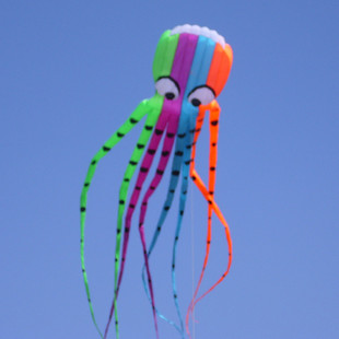 8m soft octopus kite