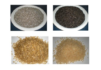 biodegradable resin