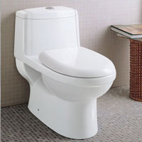 Eco-friendly dual flush toilet