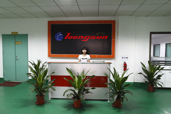 Dongguan Longxing Optoelectronic Technolgoy CO., Limited
