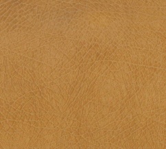 PU leather for shoe upper