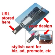 USB Webkey Plastic Card - USB-WEBKEY-CARD