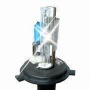 HID xenon&halogen lamps