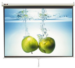 Manual projection screen