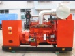 Gas generator set(20kw-3200kw)