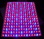 LED grow light