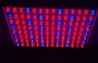 LED grow light