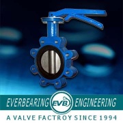 Cast Iron Lug Type Butterfly Valve